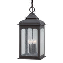 Henry Street Outdoor (Damp) Hanging Lantern by Troy Lighting