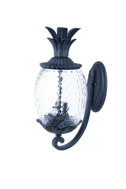 Acclaim Lighting-7501BK image