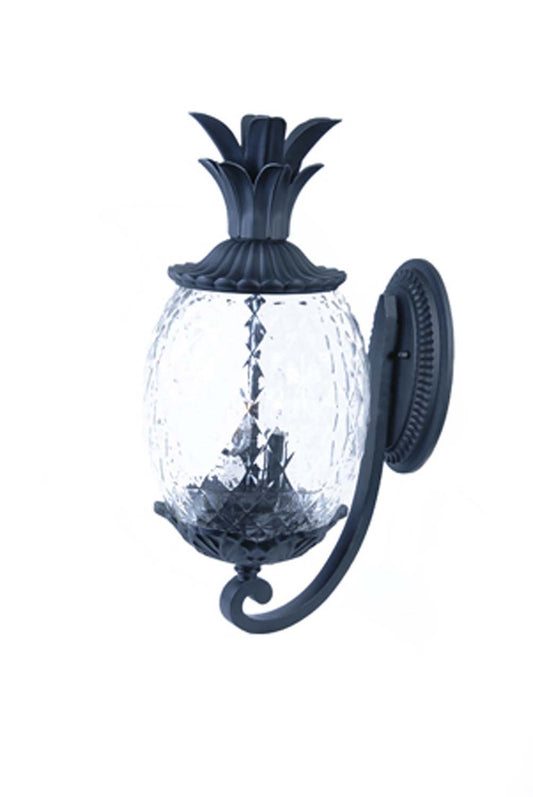 Acclaim Lighting-7501BK image