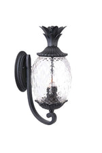 Acclaim Lighting-7511BK|MAIN