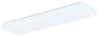 Rigby Outdoor (Damp) Linear Ceiling Light by AFX Lighting