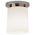 Polished Nickel with Frosted White Cased Glass Shade Glass and Frosted Shade