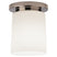 Polished Nickel with Frosted White Cased Glass Shade Glass and Frosted Shade