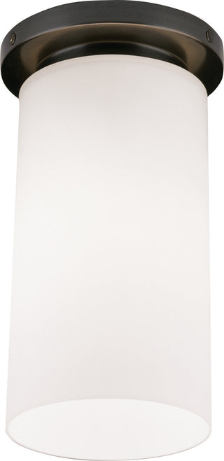 Buy deep-patina-bronze-with-frosted-white-cased-glass-shade-glass-and-white-shade Rico Espinet Nina Flush Mount Light by Robert Abbey