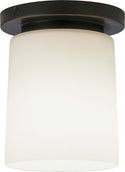 Rico Espinet Nina Flush Mount Light by Robert Abbey