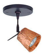 Besa-1SP-5145CF-BR|MAIN