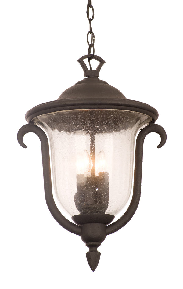 Santa Barbara Outdoor Outdoor (Wet) Hanging Lantern by Kalco