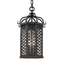 Los Olivos Hanging Lantern by Troy Lighting