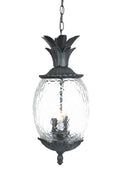 Lanai Hanging Lanterns by Acclaim Lighting