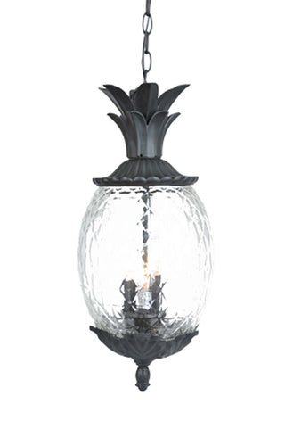 Buy matte-black-with-clear-glass-and-clear-shade Lanai Hanging Lanterns by Acclaim Lighting