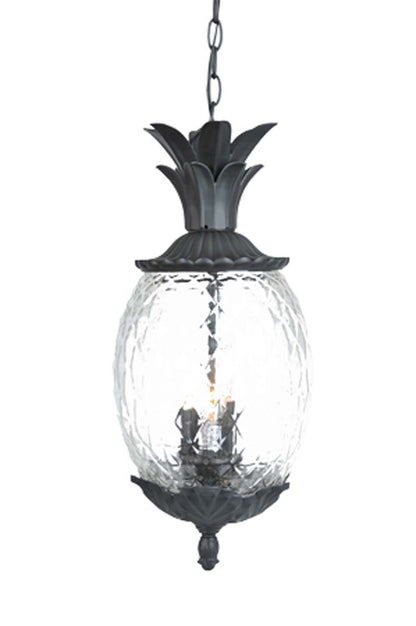 Lanai Wall Lantern by Acclaim Lighting