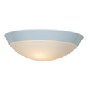 Cobalt Flush Mount by Access