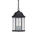 Main Street Hanging Lantern by Capital Lighting