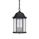 Main Street Lantern by Capital Lighting