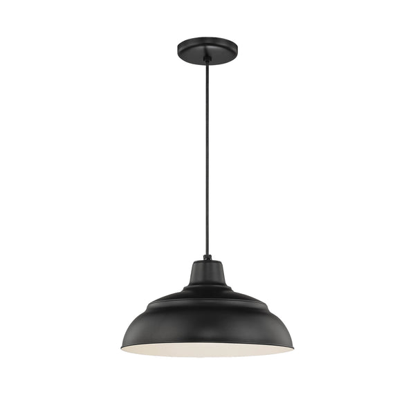 R Series Outdoor (Damp) Pendant by Millennium