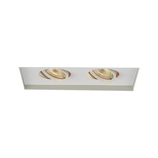 Mr Multiples Two Light Trim by W.A.C. Lighting