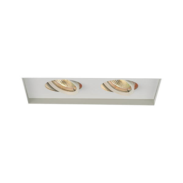 Mr Multiples Two Light Trim by W.A.C. Lighting