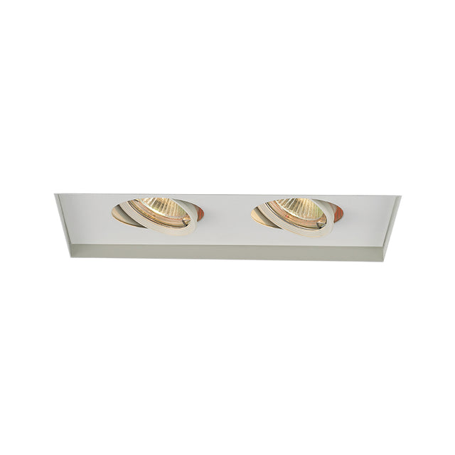 Mr Multiples Two Light Trim by W.A.C. Lighting