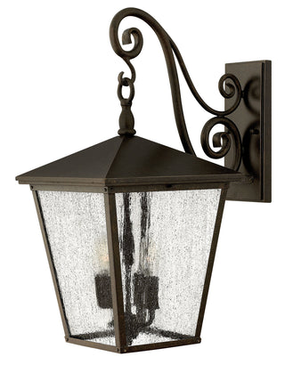 Buy regency-bronze-with-clear-seedy-glass-and-clear-seedy-shade Trellis Outdoor (Wet) Wall Lantern by Hinkley