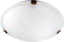 Ceiling Mounts Outdoor (Damp) Ceiling Mount Light by Quorum