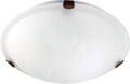 Ceiling Mounts Outdoor (Damp) Ceiling Light by Quorum