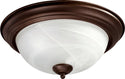 Ceiling Mounts Outdoor (Damp) Ceiling Mount Light by Quorum