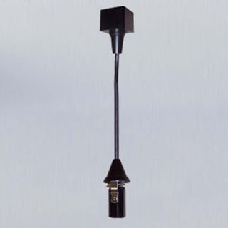 Track Pendants Pendant by Nora Lighting