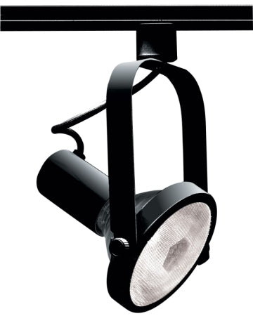 Track Heads Black Track Light by Nuvo Lighting
