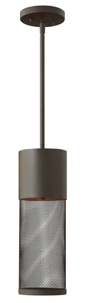 Aria Outdoor (Damp) Hanging Lantern by Hinkley