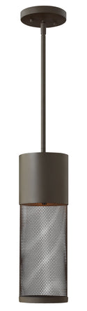 Aria Outdoor (Damp) Hanging Lantern by Hinkley