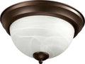 Ceiling Mounts Outdoor (Damp) Ceiling Mount Light by Quorum