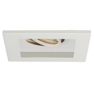 Mr Multiples Single Light Trim by W.A.C. Lighting