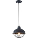 Urban Renewal Pendant by Generation Lighting