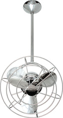 Bianca Direcional Ceiling Fan by Matthews Fan Company