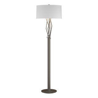 Buy dark-smoke-with-natural-anna-shade-sf-glass-and-woven-natural-shade Brindille Floor Lamp by Hubbardton Forge