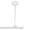 Track Syst & Comp- Cir Outdoor (Damp) Pendant by Nora Lighting