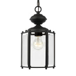 Generation Lighting-6008-12|ALT|2