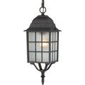 Adams Outdoor (Damp) Hanging Lantern by Nuvo Lighting