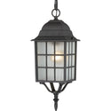 Adams Outdoor (Damp) Hanging Lantern by Nuvo Lighting