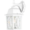 Banyan Outdoor (Wet) Wall Lantern by Nuvo Lighting