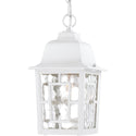 Banyan Outdoor (Damp) Hanging Lantern by Nuvo Lighting