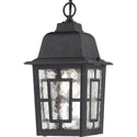 Banyan Outdoor (Damp) Hanging Lantern by Nuvo Lighting