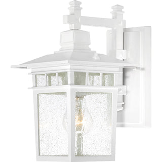 Buy white-with-clear-seeded-glass-and-clear-shade Cove Neck Outdoor (Wet) Wall Lantern by Nuvo Lighting