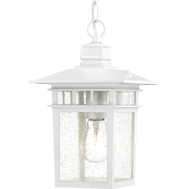 Cove Neck Outdoor (Damp) Hanging Lantern by Nuvo Lighting