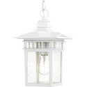 Cove Neck Outdoor (Damp) Lantern by Nuvo Lighting