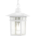 Cove Neck Outdoor (Damp) Hanging Lanterns by Nuvo Lighting