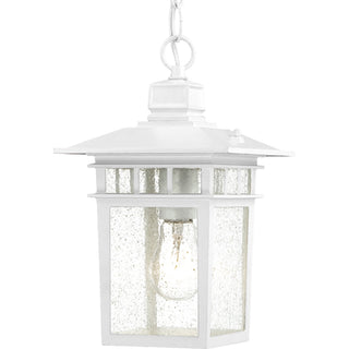 Cove Neck Outdoor (Damp) Hanging Lantern by Nuvo Lighting