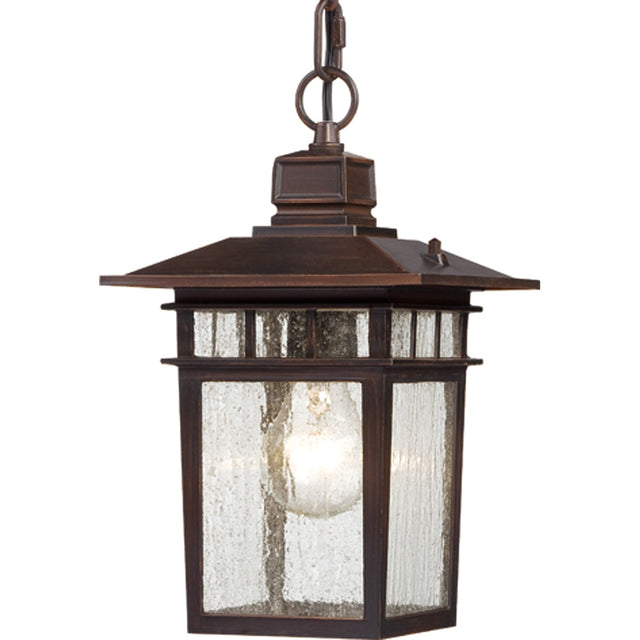 Cove Neck Outdoor (Damp) Hanging Lantern by Nuvo Lighting