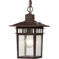 Cove Neck Outdoor (Damp) Hanging Lanterns by Nuvo Lighting