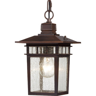 Buy rustic-bronze-with-clear-seeded-glass-and-clear-seedy-shade Cove Neck Outdoor (Damp) Hanging Lanterns by Nuvo Lighting